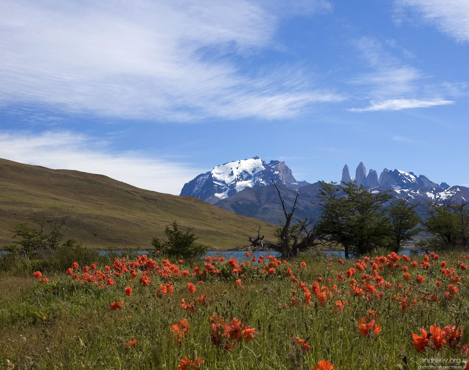 Чили: путешествие по краешку Земли. Фотодневник