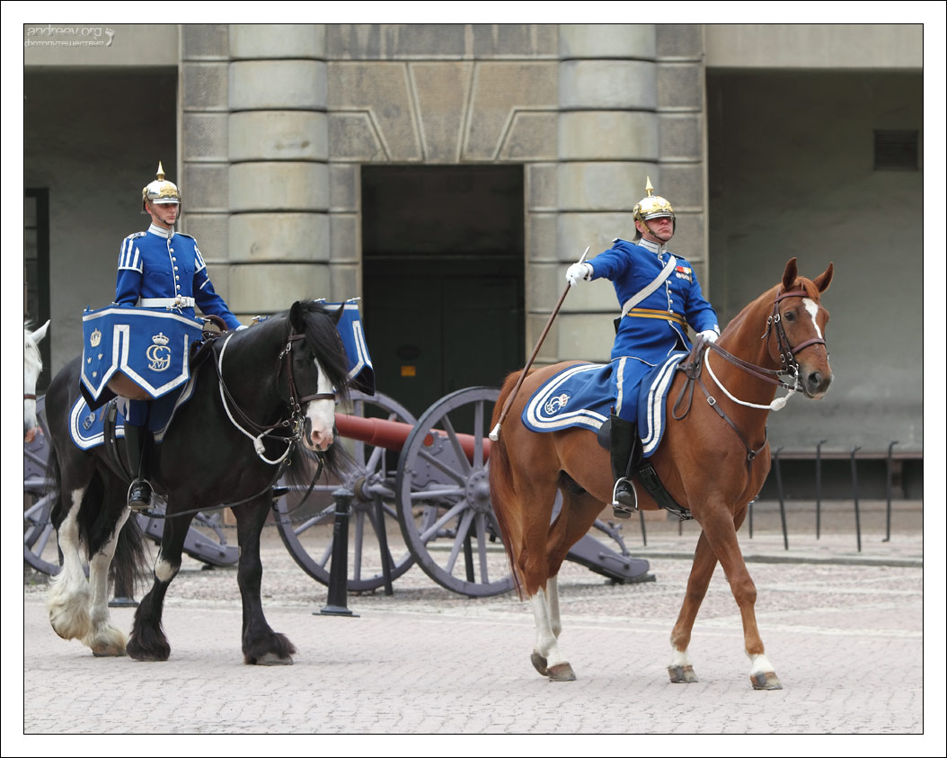 Стокгольм: королевская гвардия Швеции