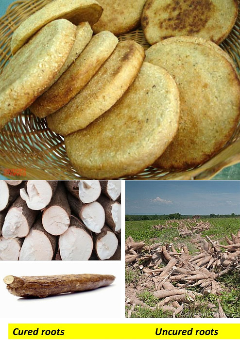 Cassava_bread.jpg