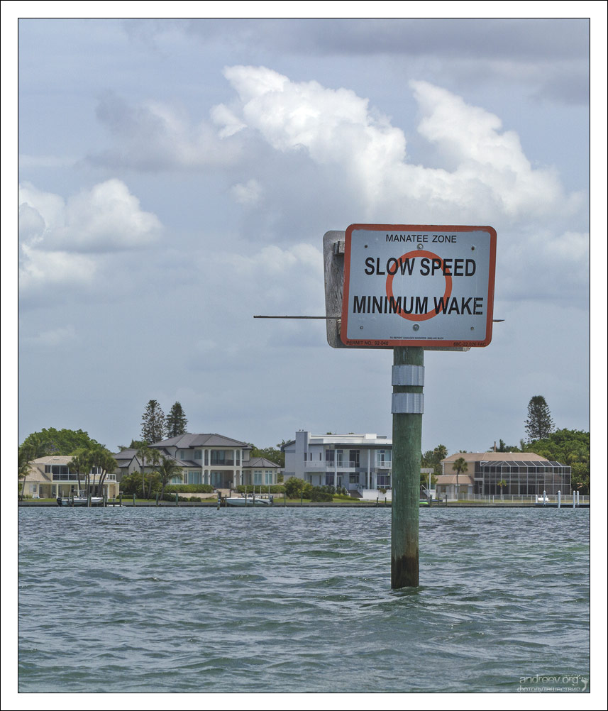 Флорида: где живет морская корова