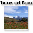 .  Torres del Paine