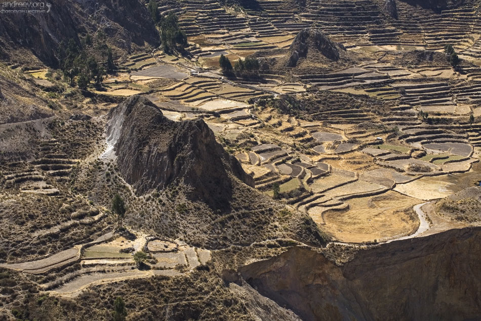 http://www.andreev.org/albums/Colca%20Canyon/images/087PE.jpg