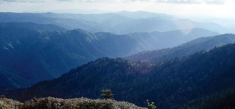 Национальный парк Great Smoky Mountains, Теннеси