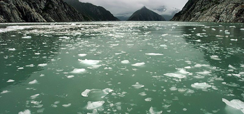 Аляска: фотографии национального парка Kenai Fjords