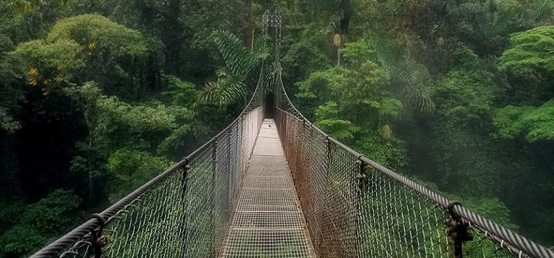 Зеленые холмы Коста-Рики. Фоторассказ. Часть 2