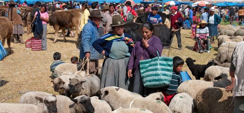 Перу: на птичьем рынке. Фоторепортаж