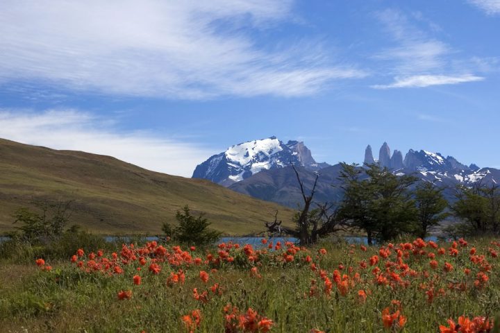 Национальный парк Torres del Paine, Чили: фотографии (1) Национальный парк Torres del Paine, Чили: фотографии (1)