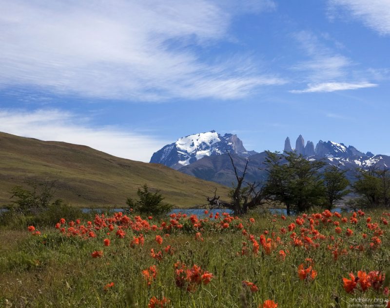 Национальный парк Torres del Paine, Чили: фотографии (1)