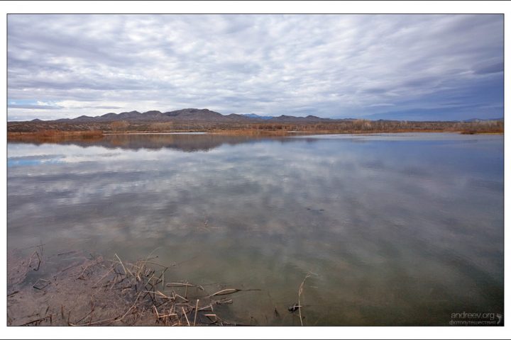 Bosque del Apache, Нью-Мексико: фотографии
