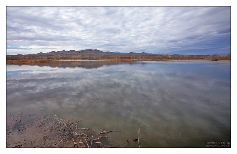 Bosque del Apache, Нью-Мексико: фотографии