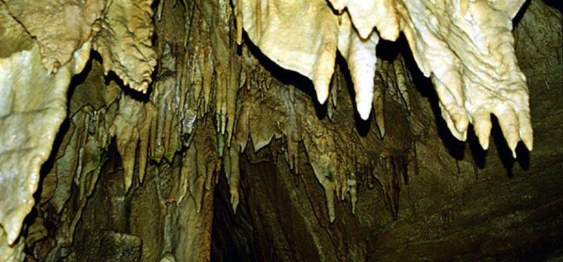 Мамонтовы пещеры, Кентукки: фотографии