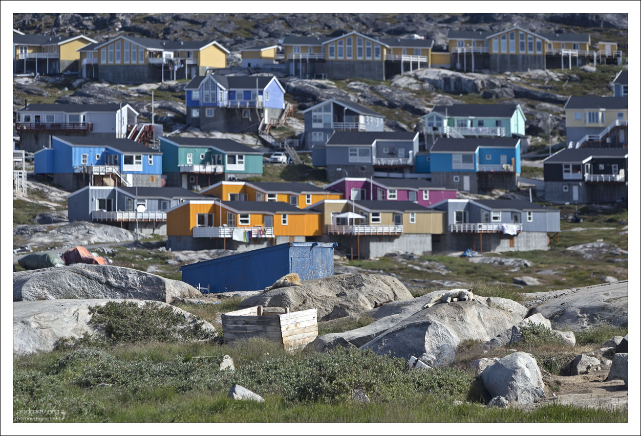 Гренландия: в гостях у [сказки] хаски