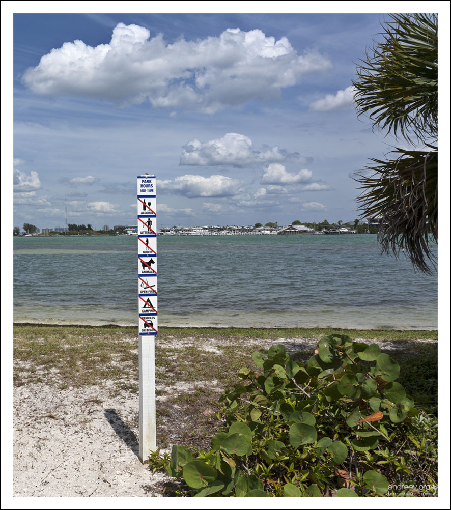 Западная Флорида и Дисней. Часть 1 мангровые, Longboat, больше, остров, кондо, можно, всего, время, принято, людей, прямо, человек, которые, Тампа, белые, СентПит, залив, заповедник, очень, пляже