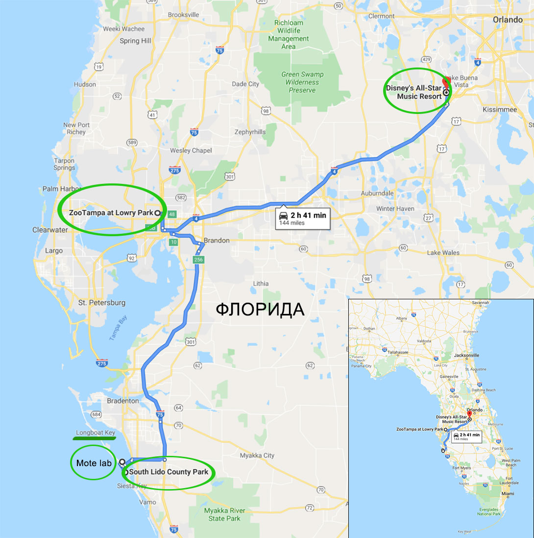 Западная Флорида и Дисней. Фоторассказ