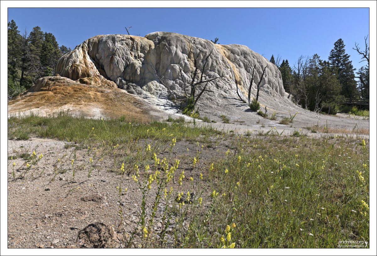 Травертиновая гора Orange Spring Mound уже не такая яркая, какой она запомнилась в 2014 году.
