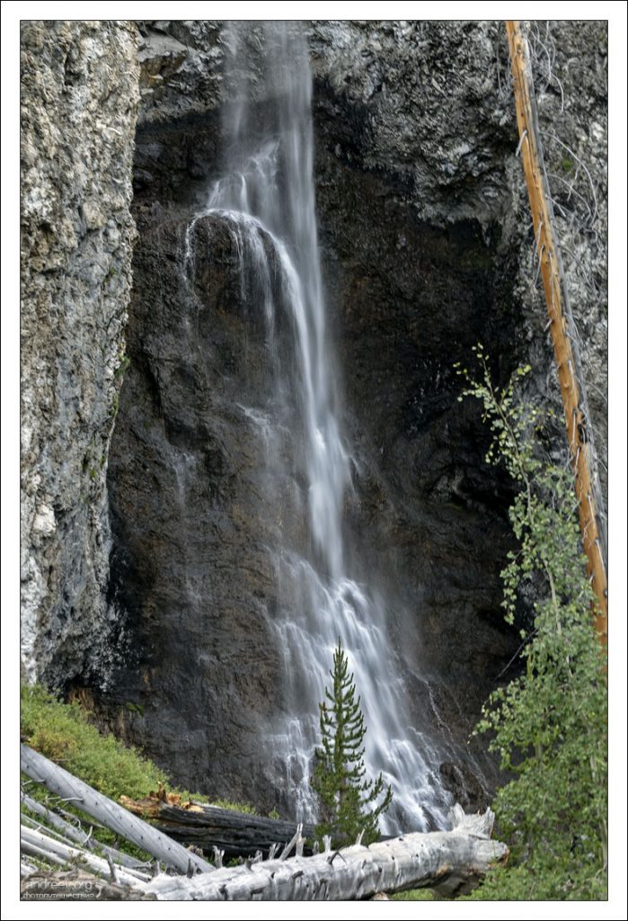 Возле водопада Fairy Falls много поваленных деревьев.
