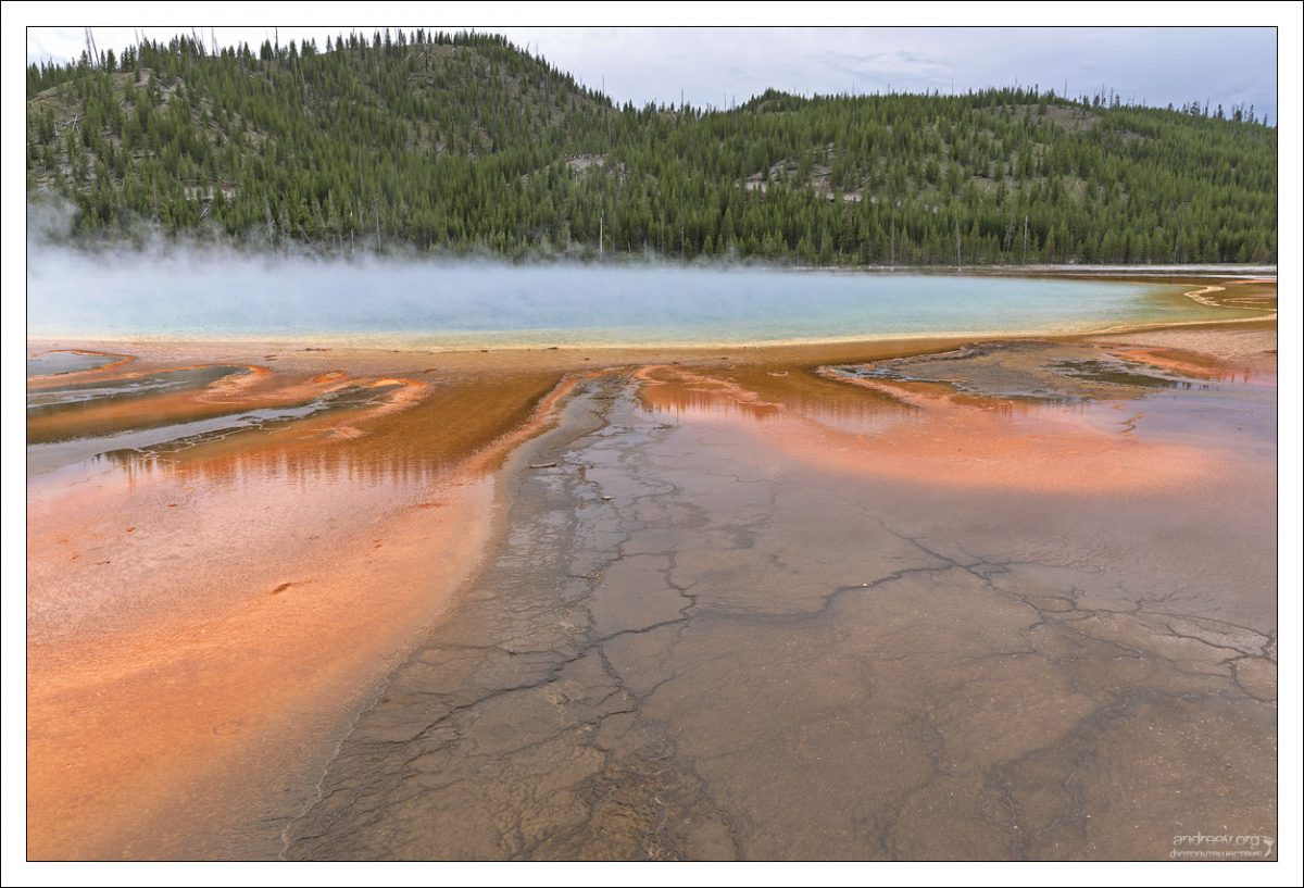 Яркие живые цвета источника Гранд-Призматик являются "живыми" в прямом смысле слова - это колонии бактерий.
