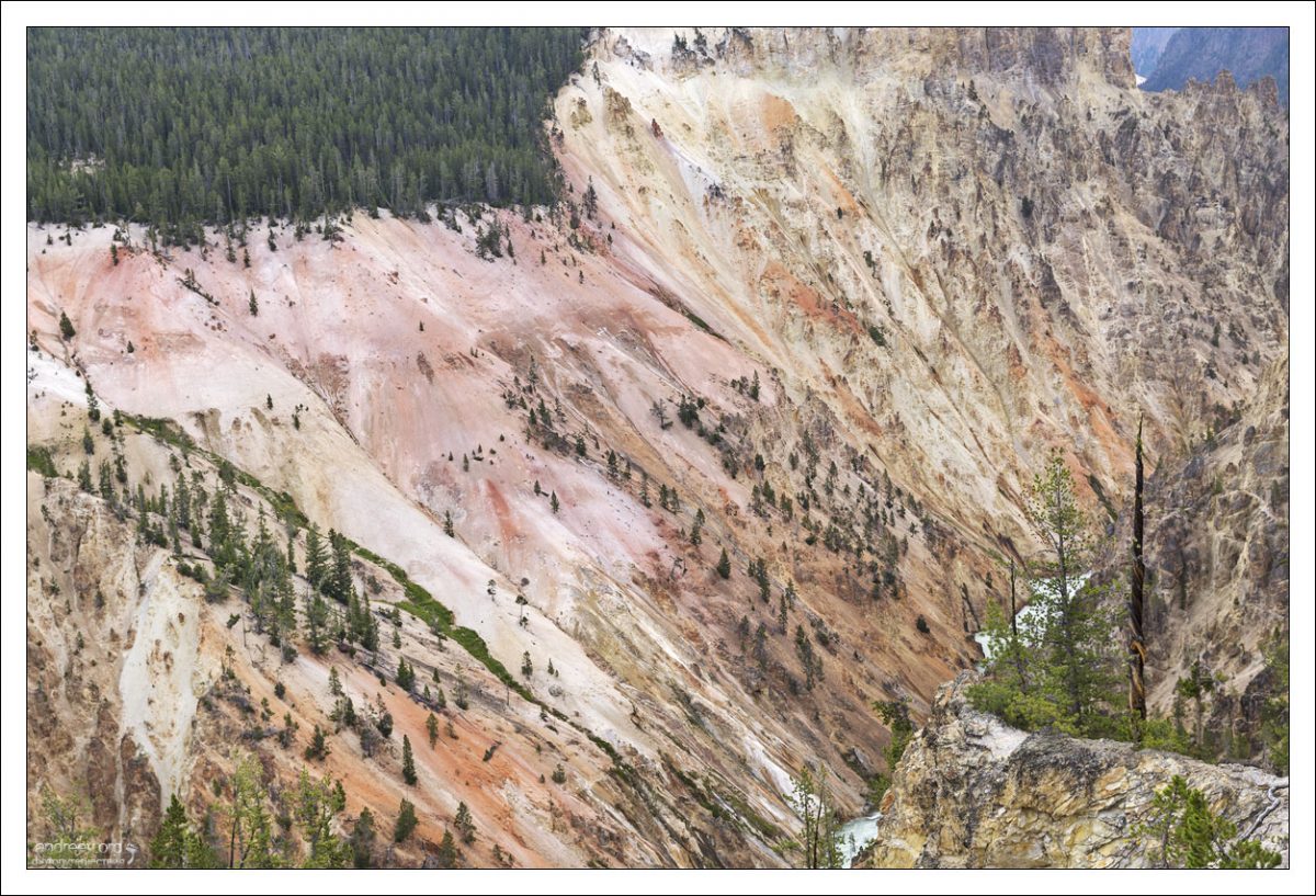 Риолит, из которого состоит Большой каньон Йеллоустоуна, содержит множество различных соединений железа.