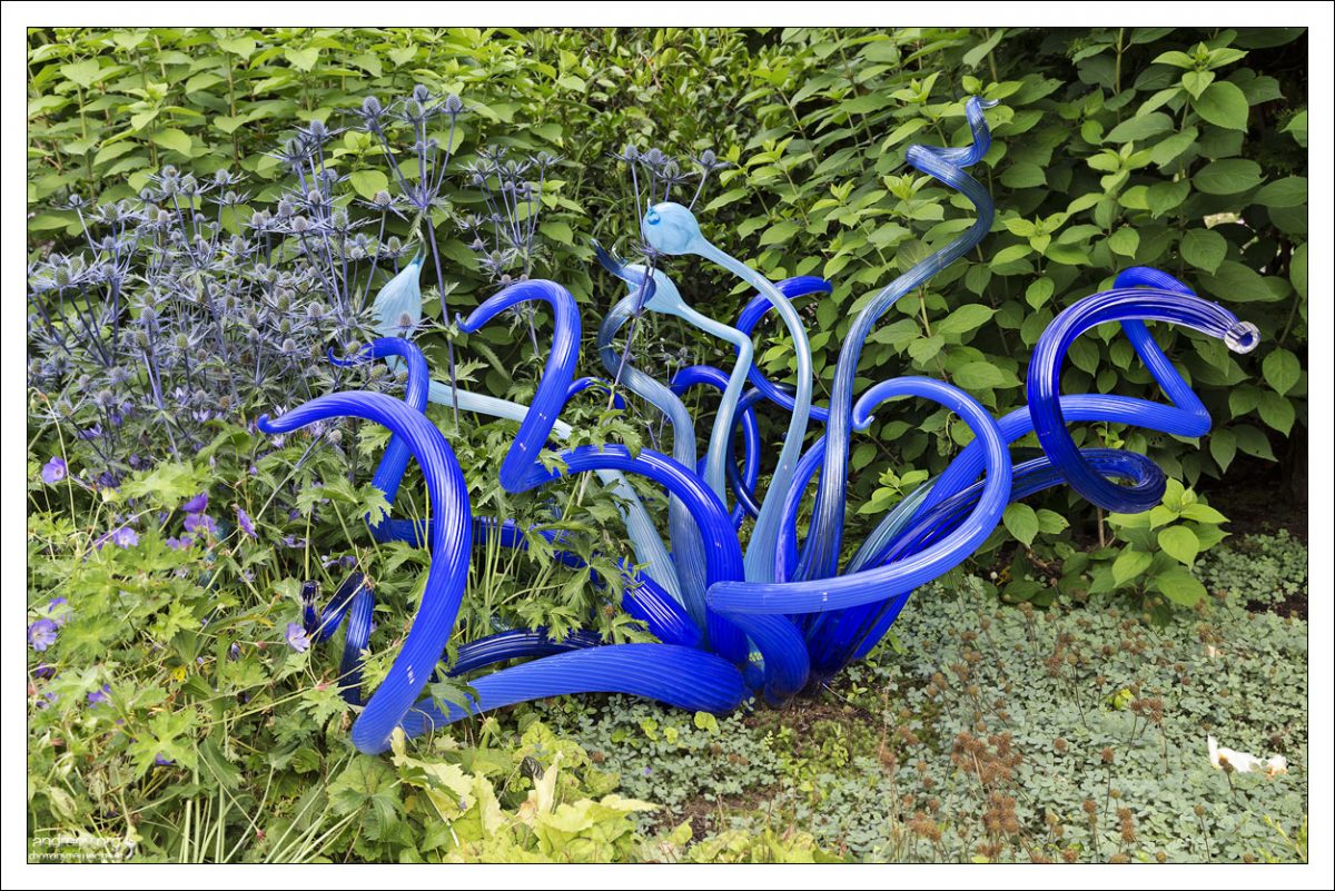 Голубые стеклянные "змейки" в саду при музее стекла Чихули.