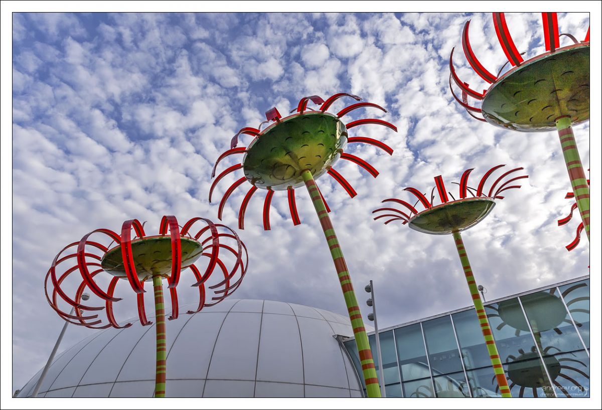 Цветочная группа Sonic Bloom около музея стекла Чихули создана архитектором Дэном Корсоном.