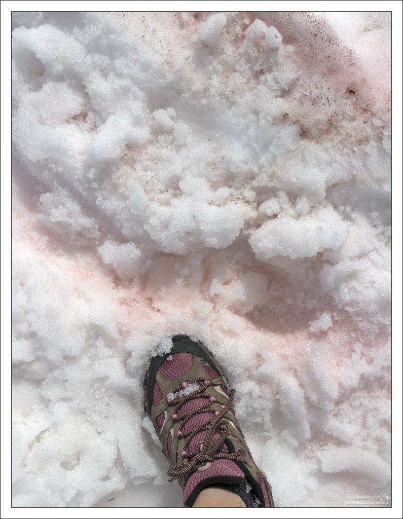Снег естественного, розового окраса :)