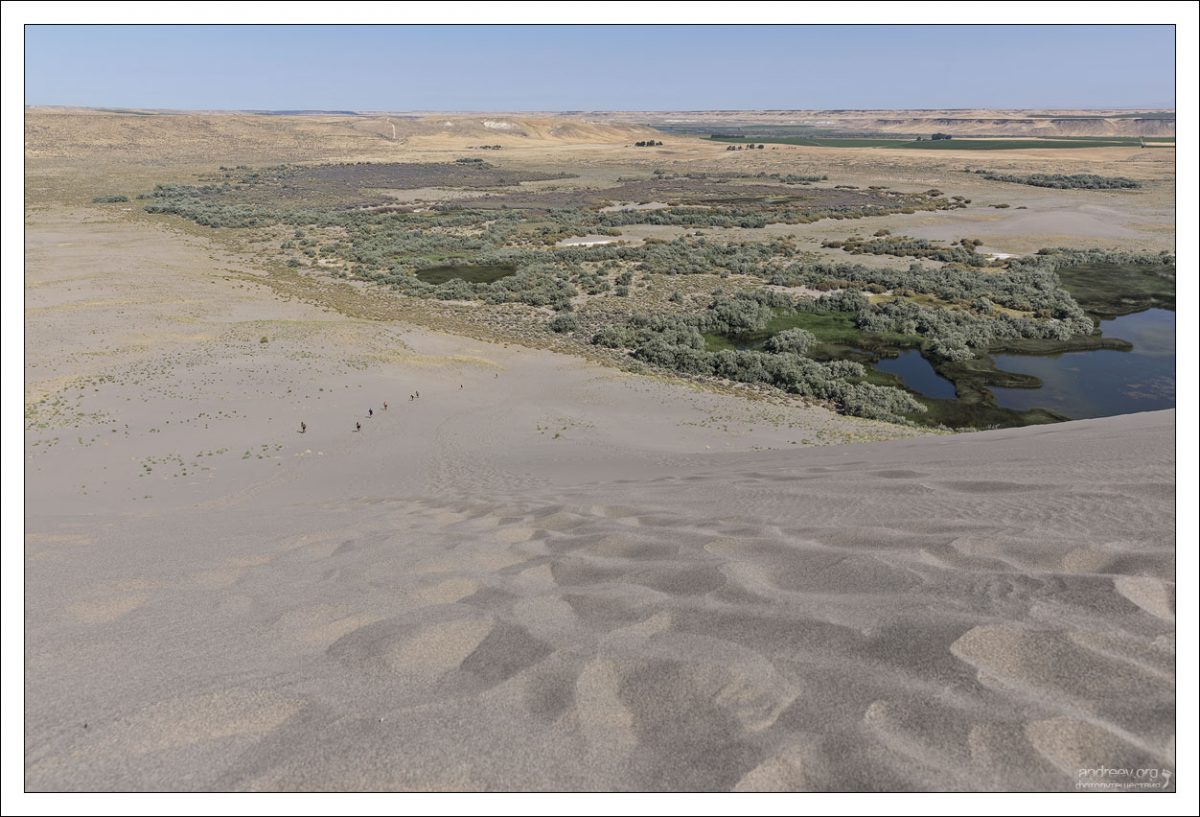 Дюны Брюно уникальны для Западного полушария. Все прочие дюны в Америке формируются на краях естественных бассейнов, а дюны Брюно образовались ближе к центру.