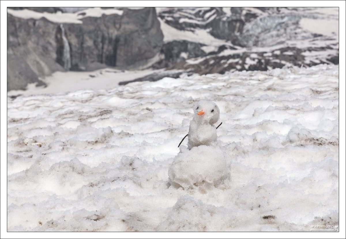 Снеговику тут же был присвоен статус "art object" с последующим растиражированием в инстаграмах мимо проходящих туристов.
