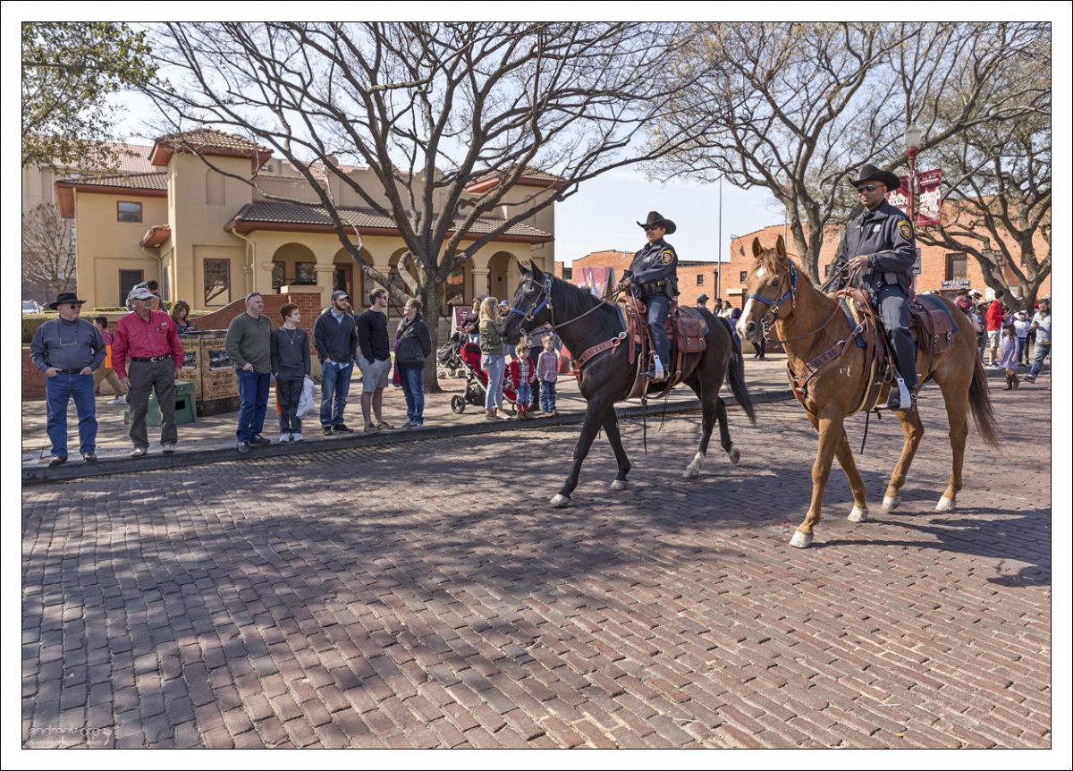 Техасская конная полиция.