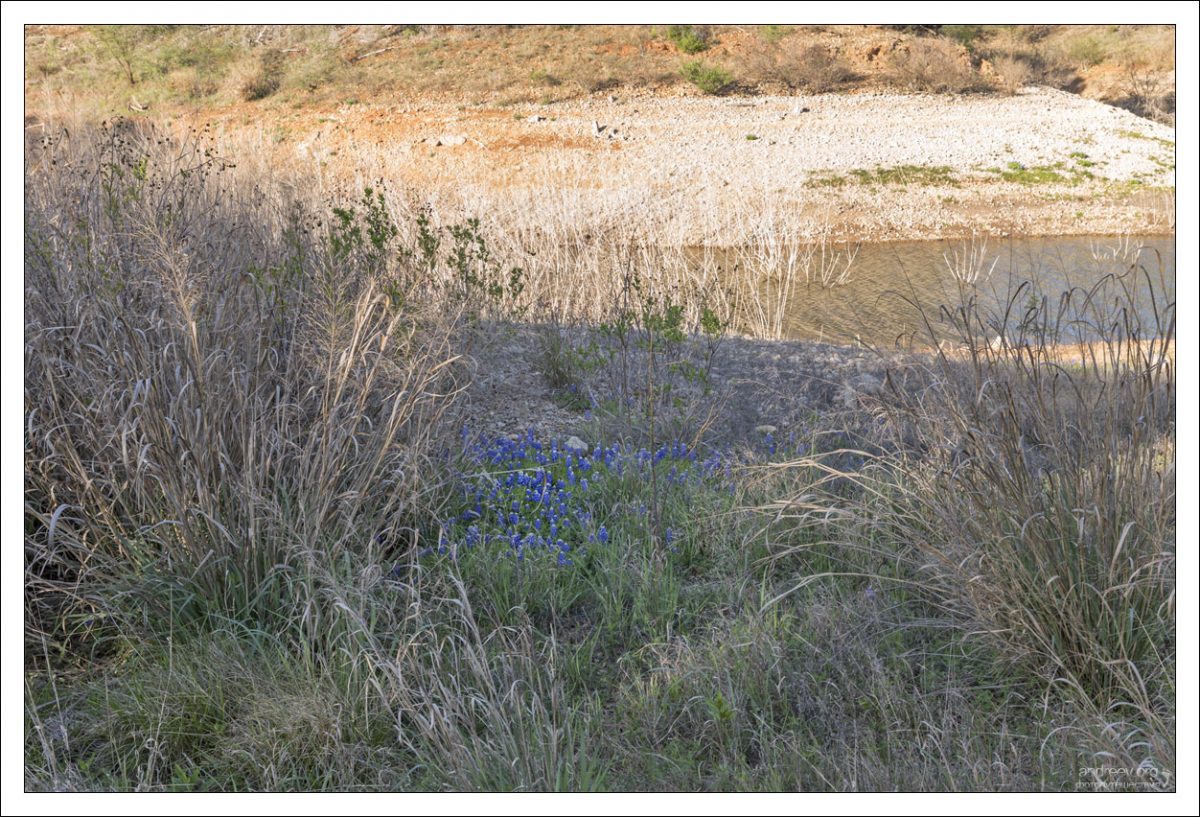 Голубая "заплатка" на берегу реки Колорадо.