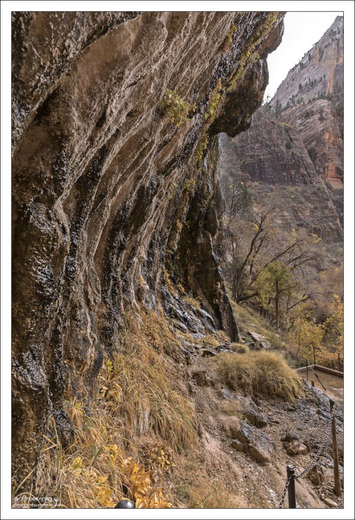 Weeping Wall - Стена плача, где грунтовые воды, просочившиеся через песчаник навахо из каньона Эхо, выходят на поверхность, образуя капающую стену.