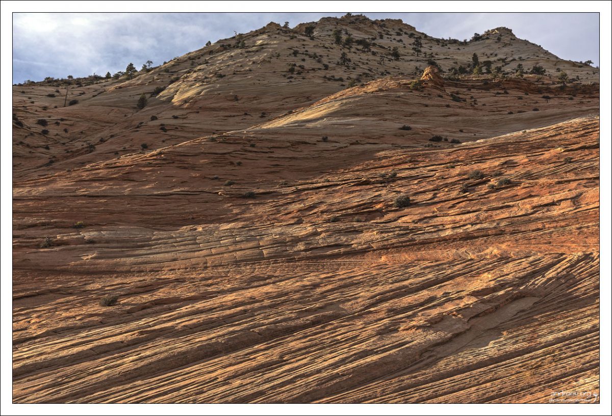 Диагональные узоры в песчанике навахо называются косой слоистостью (cross-beds). Косые слои встречаются в современных активных песчаных дюнах, но песчаник навахо хранит историю древних ветров.