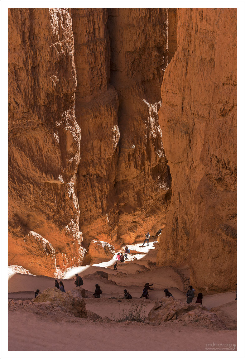 Петли Навахо у узком каньоне.