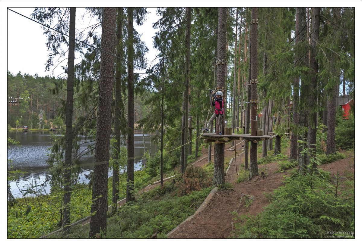Веревочный парк “Greenwald”.