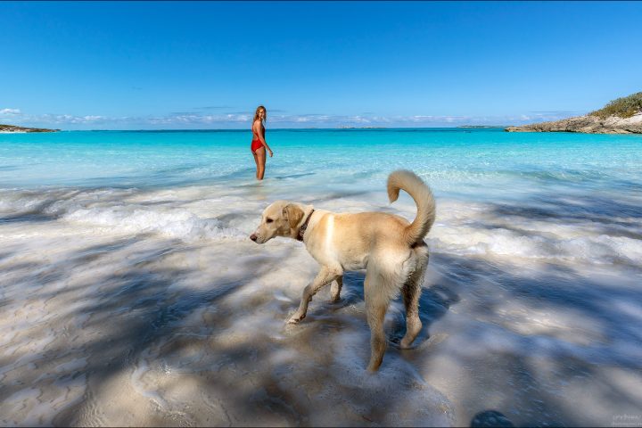 Острова Exuma, Багамы: фотографии Острова Exuma, Багамы: фотографии