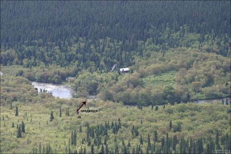 Медведи на реке. Вид из самолета.