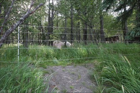 Кемпинг огражден проволокой под напряжением.