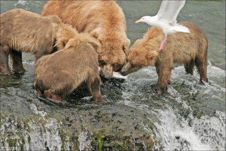 Семейный обед.
