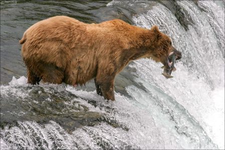 Удачно поймал.