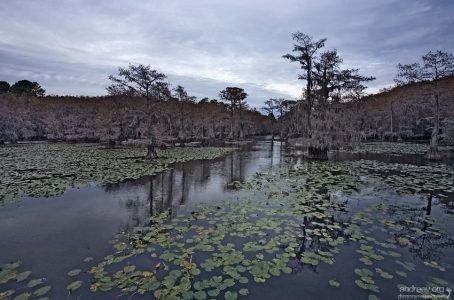 Сумерки над озером.