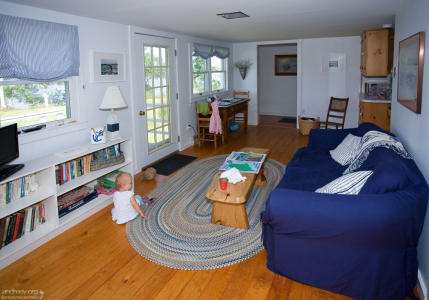 Гостиная в коттедже.