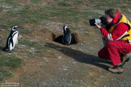 Катя и позирующий пингвин.