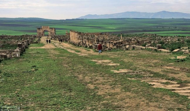 Триумфальная арка с видом на поля. В переводе с латыни, "volubilis" означает "плодородный". Volubilis.