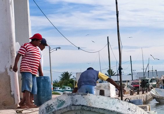 Местные рыбаки на лодочной заправке в Селестуне.