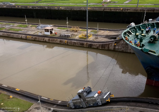 Через шлюзы Панамского канала корабли тянут специальные поезда - “мулы”.