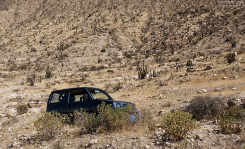 Suzuki Jimmy у подножия крутого склона, усыпанного кактусами.
