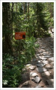 Заповедник «Кивач» площадью более 10 тысяч га.