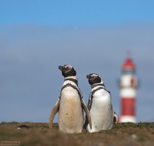 Двое и маяк.