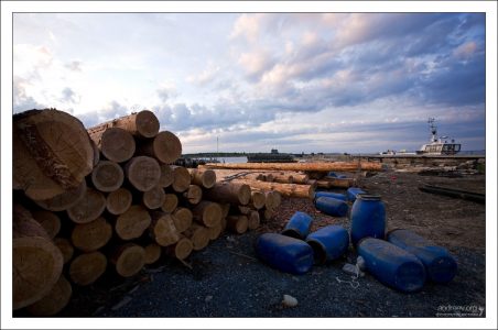 Штабель бревен на берегу в поселке Рабочеостровск.