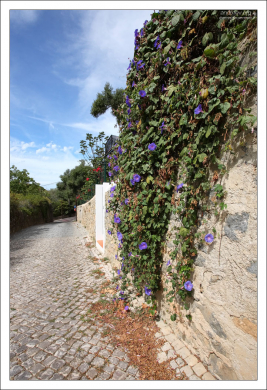 Тихая улочка на окраинах Синтры.