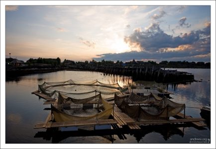 Рыбные садки в поселке Рабочеостровск.